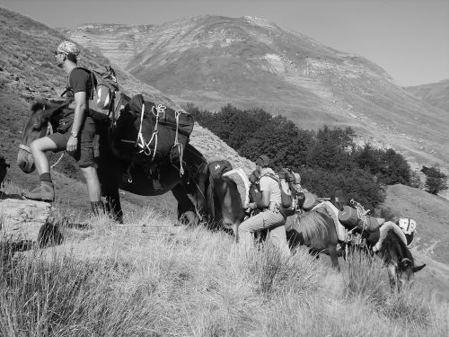 trekking con i muli-230.JPG